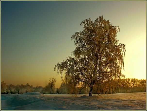 Światło poranka