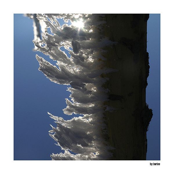 Icy Impression