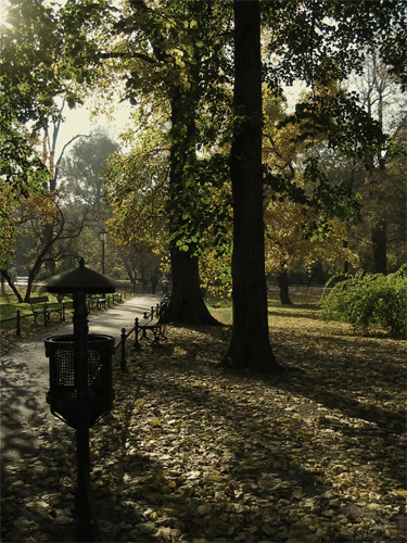 Park w Krakowie