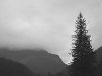 Tatry