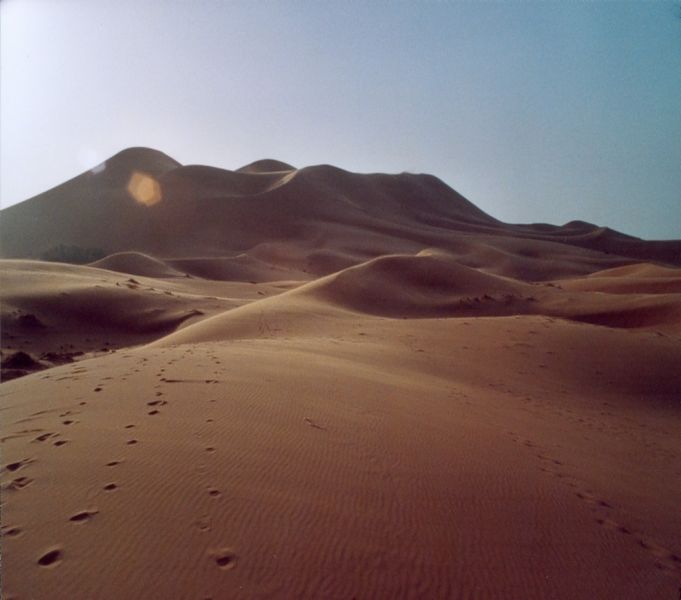 omarshall