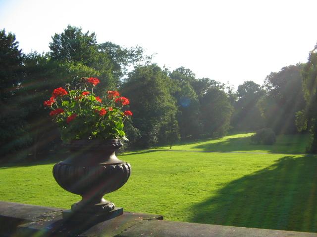 pszczyna