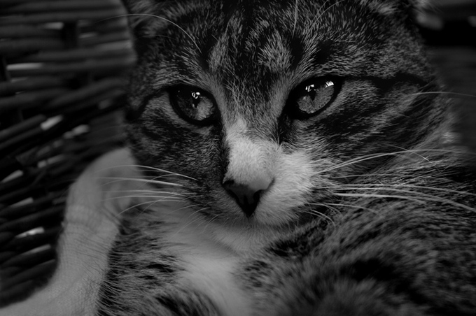 Almy