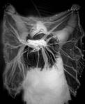 Meduza.