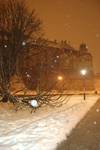 Wawel