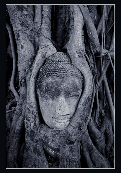 Pochłonięty Budda