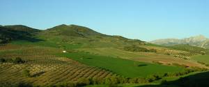 Poprostu Andaluzja