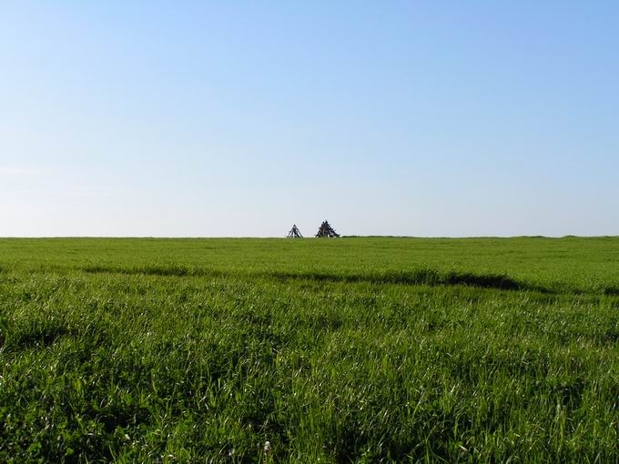 Pole, stary, to ja mam wszędzie
