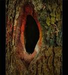 barwy jesieni.....???