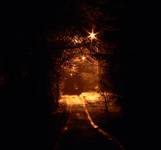 ...portal in the darkness...