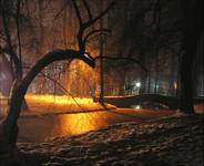 Park nocą:)