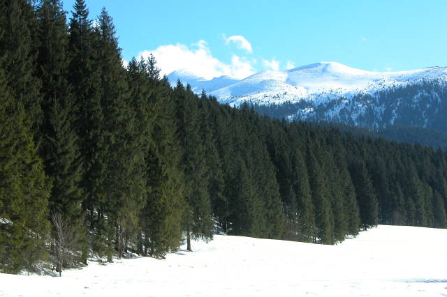 Dolina Kościeliska