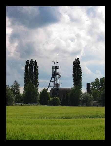 Trwały element krajobrazu