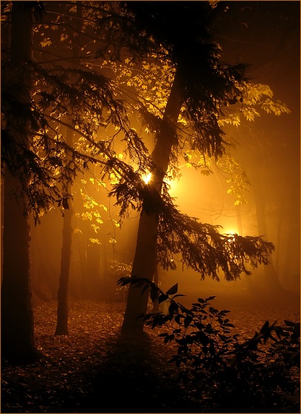park