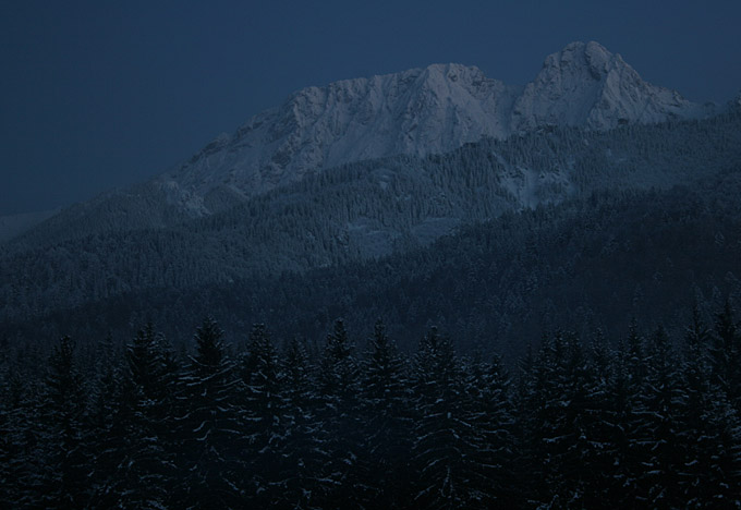 "Straż Nocna"