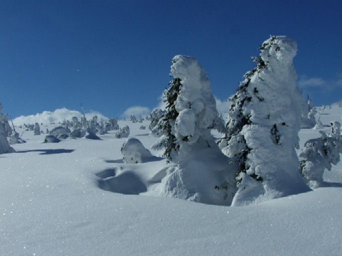 Zimowy Widok
