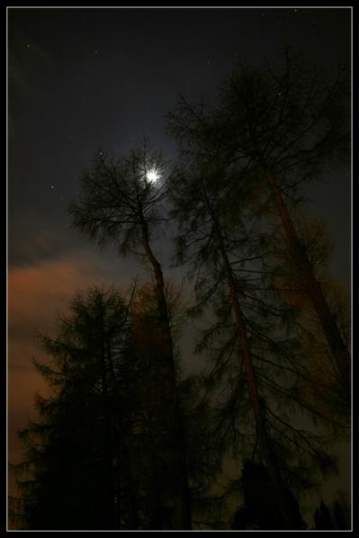 w blasku ksiezyca