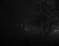 Foggy Night
