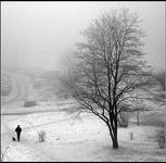Zabrze we mgle (3)