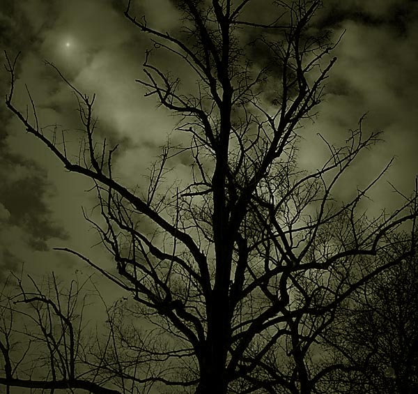 night visions