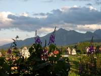 Tatry