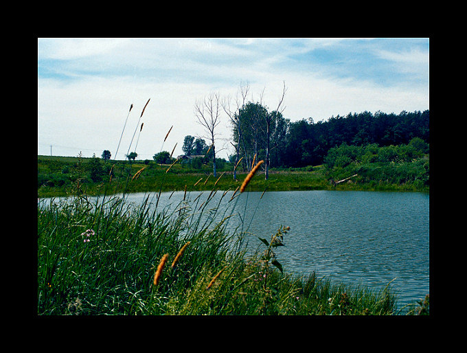 monte-christo