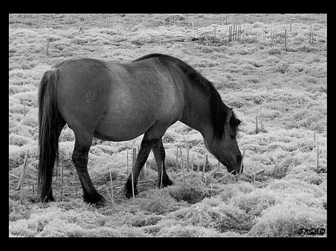 B&W 1.....