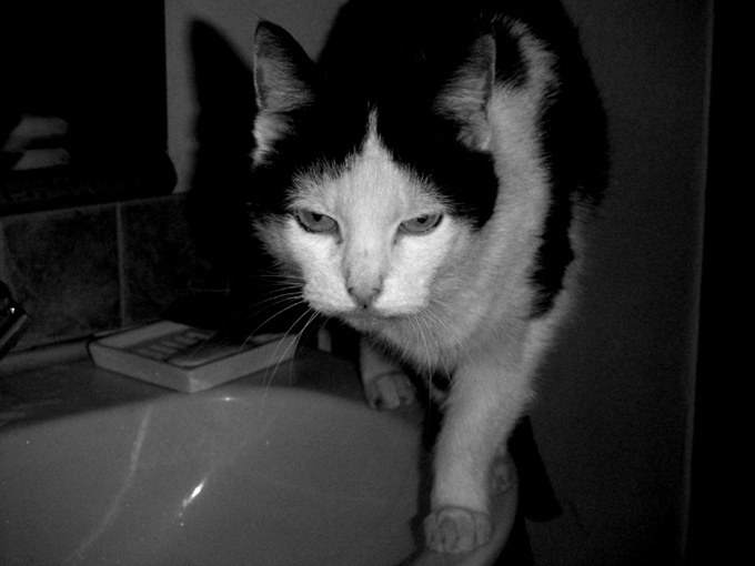 Zuzia:)