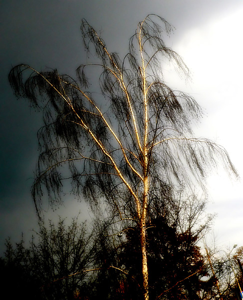 Przed burza