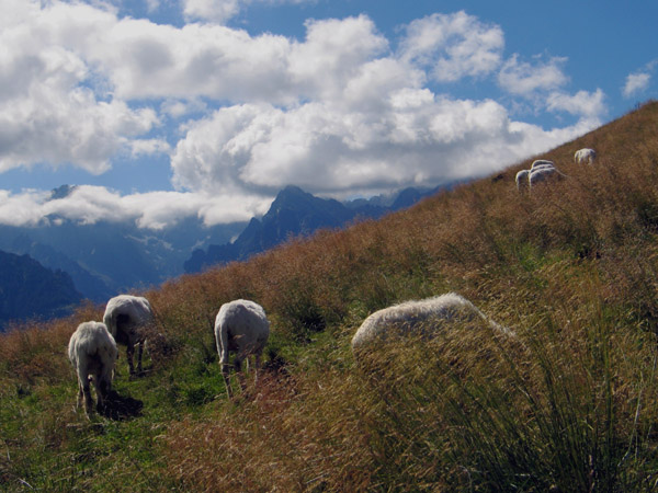 Tatry, Rusinowa Polana
