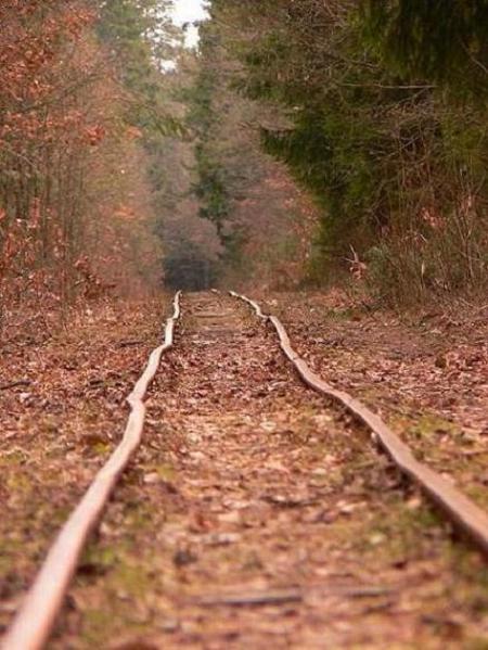 \'\'Maglev\'\'