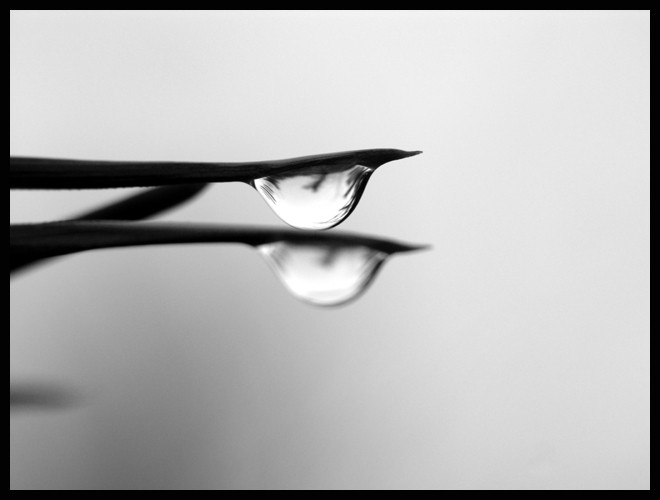velocity