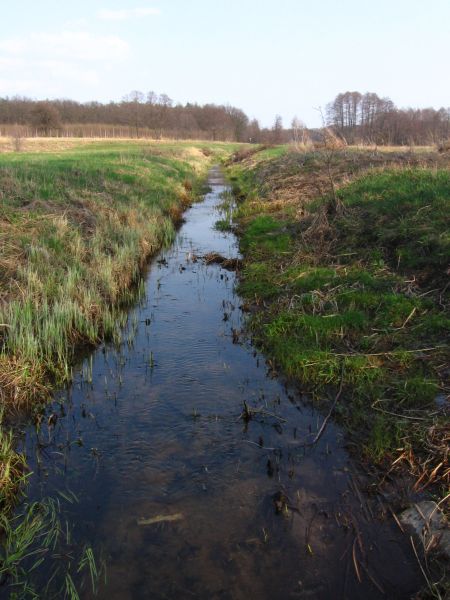 ciągłość