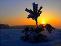 Frozen...