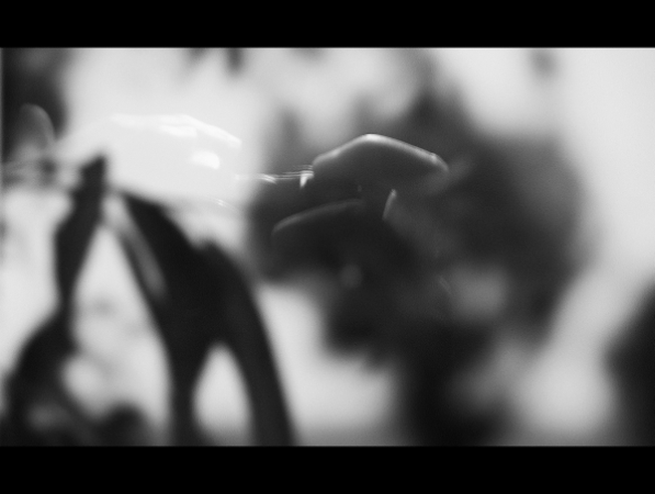 catch the moment