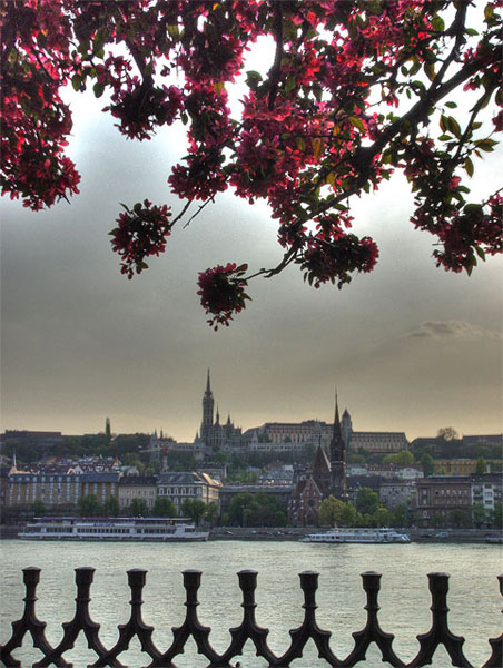 Budapeszt.