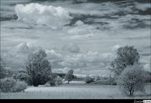 Irreal dream