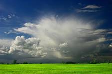 cumulonimbus