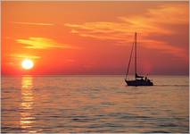 towards the sun