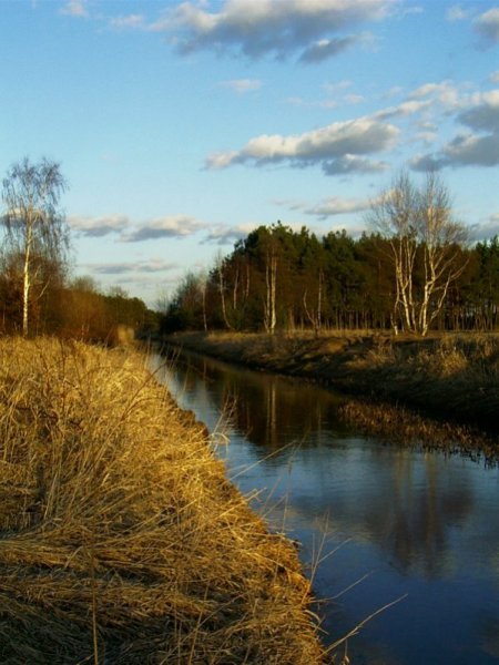 Knapi