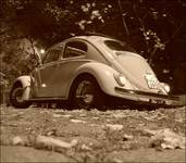 VW BEETLE