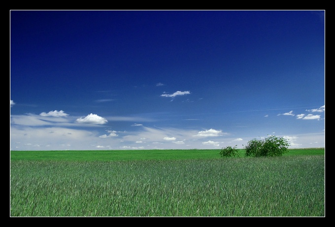 Windows XP