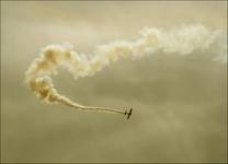 Fly Little Wing...