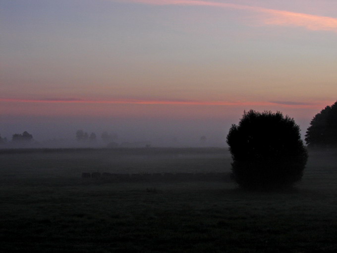 Wschód nad Biebrzą 2 ...