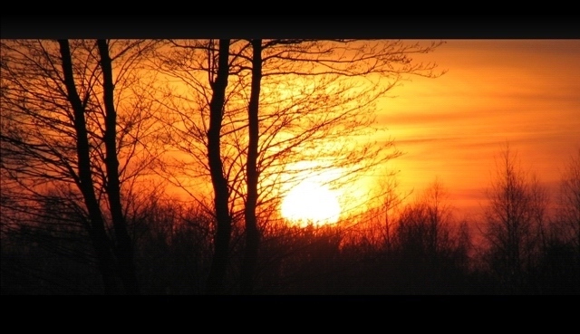 House of the Rising Sun