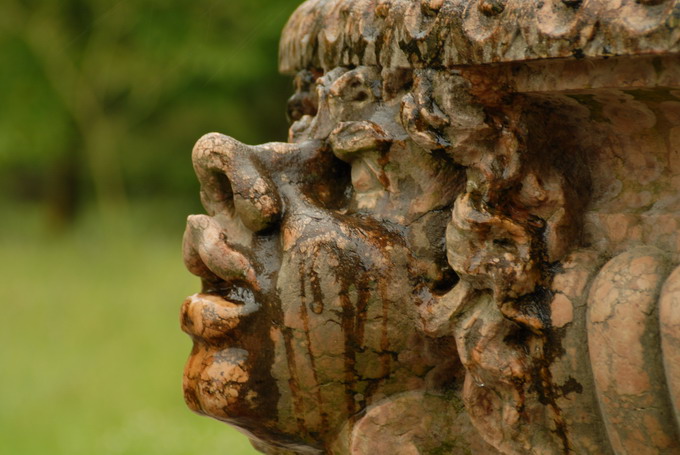 Maskara
