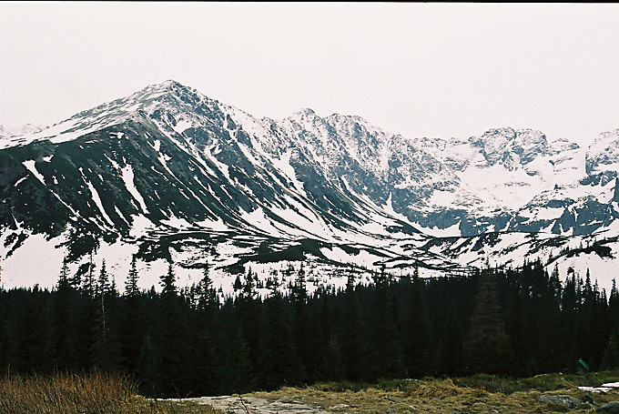 jaskiniowiec gacek