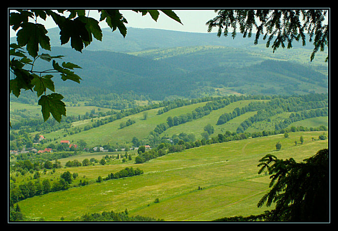 ...z ukrycia...