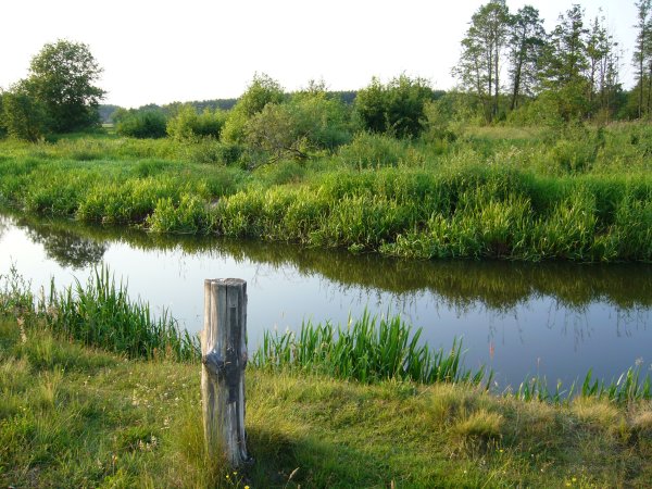 Czarna Nida / Kluczewsko / świętokrzyskie
