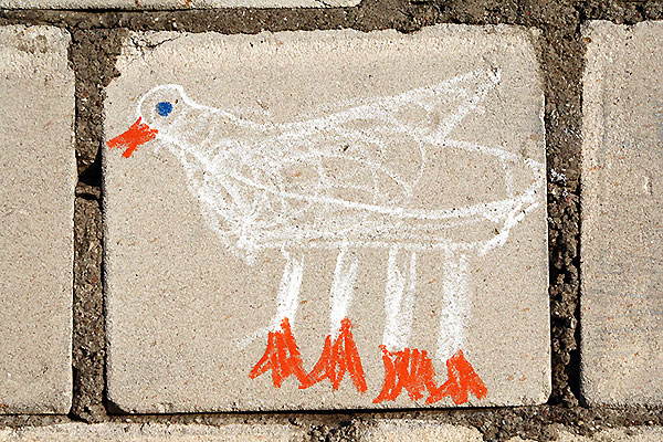 urban goose...